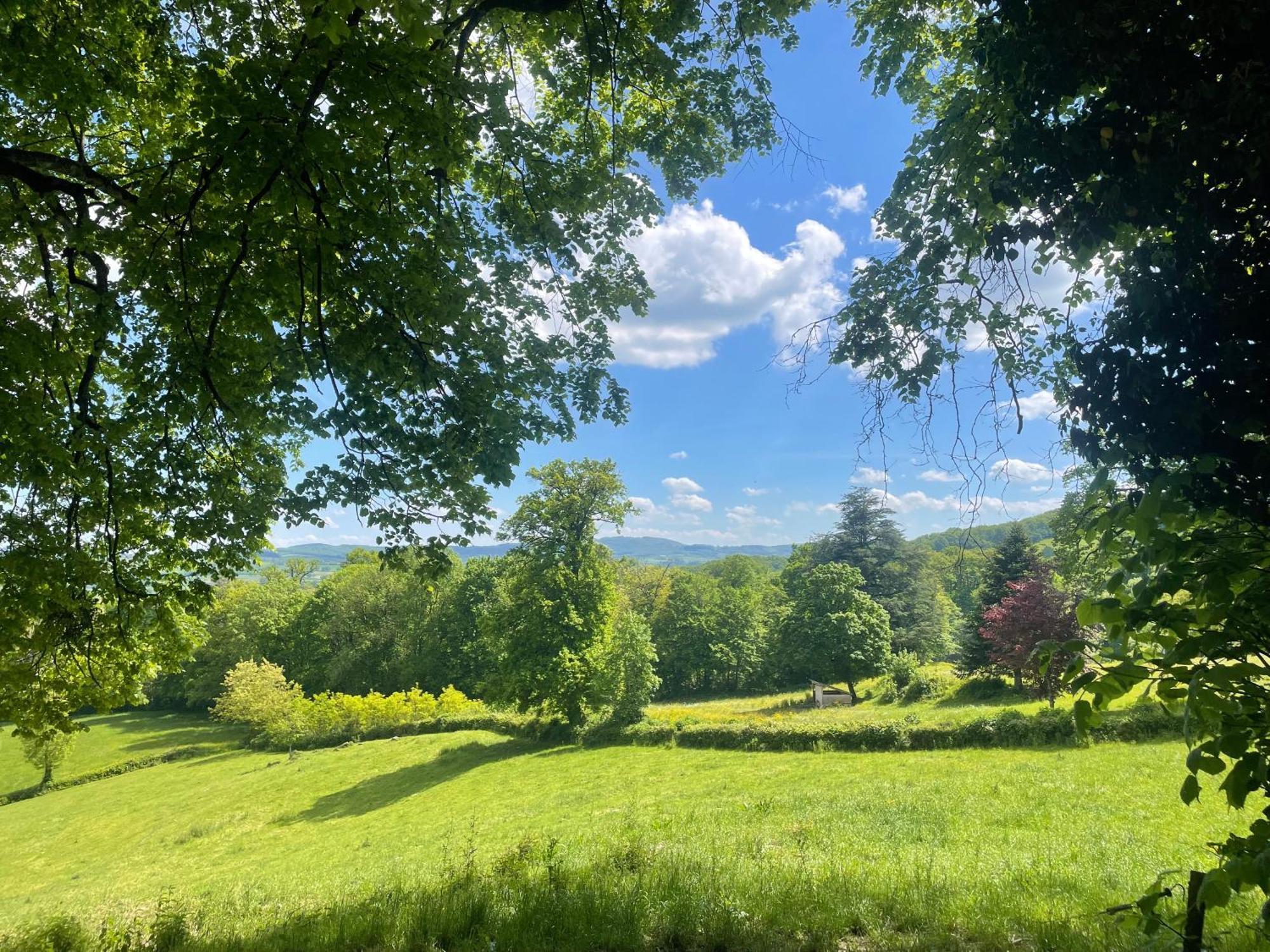 Etang-sur-Arroux Chateau De Vaux Morvan מראה חיצוני תמונה