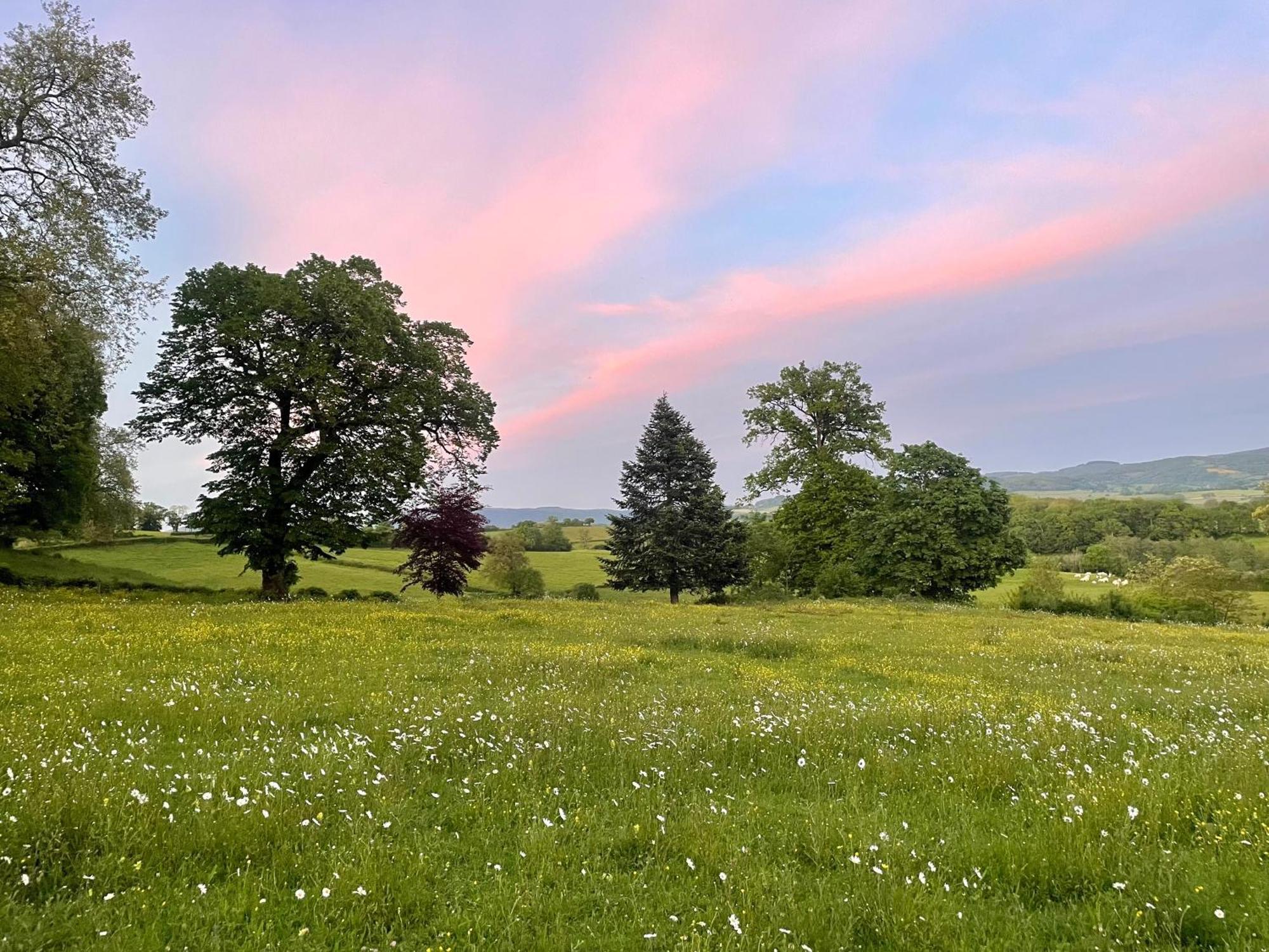 Etang-sur-Arroux Chateau De Vaux Morvan מראה חיצוני תמונה